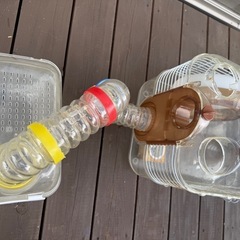 ハムスター用のゲージの画像