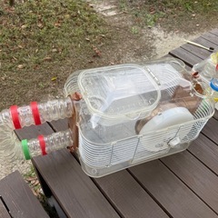 ハムスター用のゲージの画像