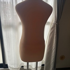 トルソーマネキンの画像