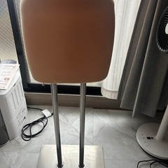 トルソーマネキンの画像