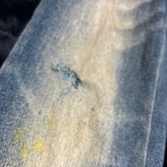 【ちびrady】シャンデリア刺繍ズボン【110】の画像