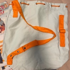 アラフェス2013 国立競技場の画像