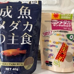 紅白ヒレ長飼育セットの画像