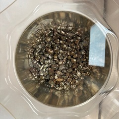 紅白ヒレ長飼育セットの画像