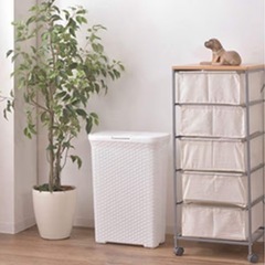 ランドリーボックス 2点セット 
の画像