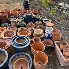 植木鉢1,000円で取り放題‼︎の画像