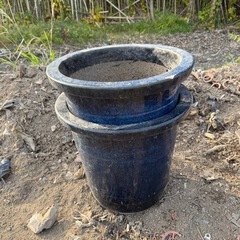 植木鉢1,000円で取り放題‼︎の画像