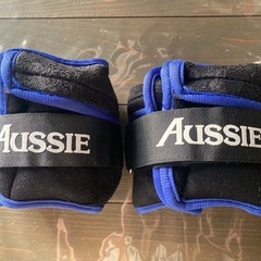 調整式ウエイトの画像