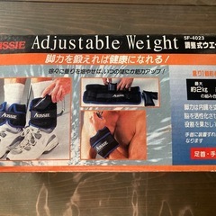 調整式ウエイトの画像