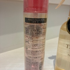 マシェリ　ツバキの画像