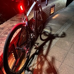 コーダブルーム ファーナ  デュラホイール の画像