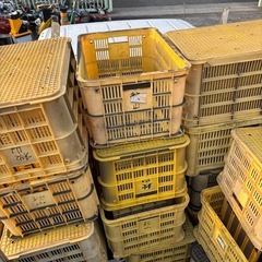 農業用コンテナの画像