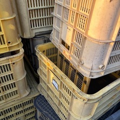 農業用コンテナの画像