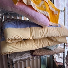 シルバーラックの画像