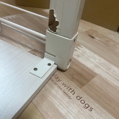 犬　ケージ　の画像