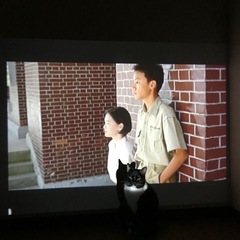 家庭用プロジェクターの画像