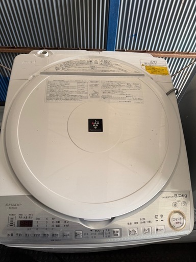 SHARP 洗濯機8kg