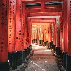 ひきこもりに理解のある友達を募集します