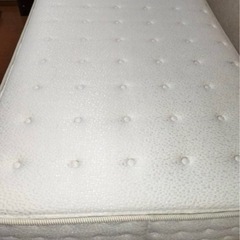 ニトリ Nスリープ マットレス シングルの画像