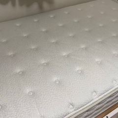 ニトリ Nスリープ マットレス シングルの画像