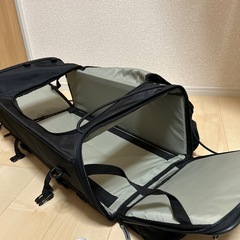 デイトナ　ヘンリービギンズ　バックの画像