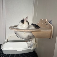 猫用ハンモック　宇宙船吸盤タイプの画像
