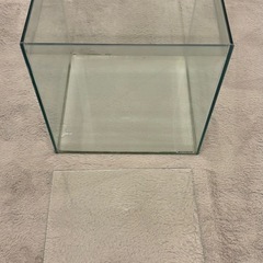 60cm水槽 30cm水槽の画像