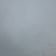 a284　ハイアール　5.5㎏　洗濯機の画像