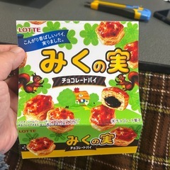 パイの実カバー　手作りの画像