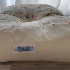 天使の寝床   青葉　トコちゃんの画像