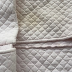 天使の寝床   青葉　トコちゃんの画像