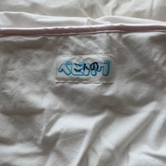 天使の寝床   青葉　トコちゃんの画像