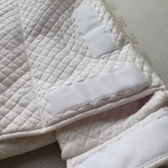 天使の寝床   青葉　トコちゃんの画像