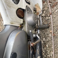 セル付カブの画像