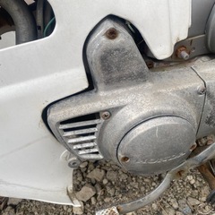 セル付カブの画像