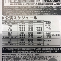 入場券１０枚セットの画像