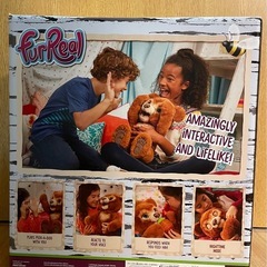 廃盤品！ファーリアル 遊ぶのだいすき♪ こぐまのカビーの画像