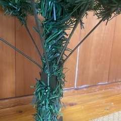 クリスマスツリーの画像