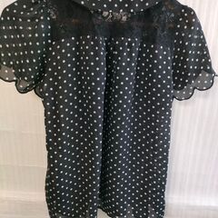 美品　半袖ブラウス　ドット　sorridere　水玉の画像