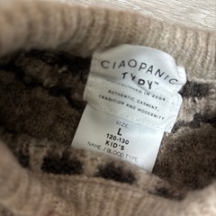 ⑥チャオパニックの画像