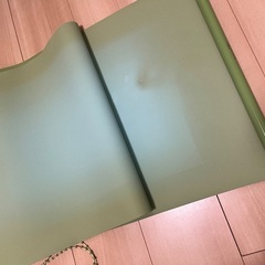 ニトリ ロールスクリーン 幅45×丈180 遮光  ドルフィンの画像