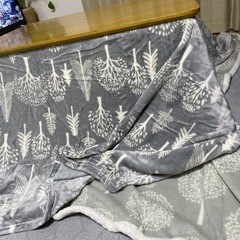 小さめ
長方形こたつとこたつ薄掛け布団と上掛けの画像