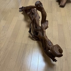 流木の画像