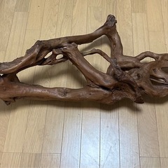 流木の画像