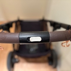 cybex ガゼルs フレームのみの画像