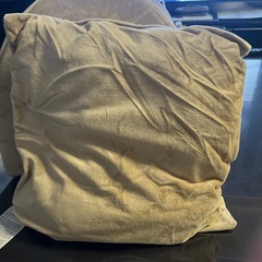 ペットドーム型の画像