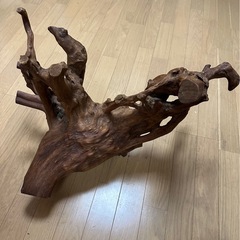 流木の画像