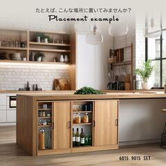 下引き戸収納　シャビ―オークの画像