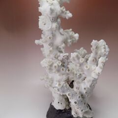 サンゴ　サンゴ礁　珊瑚礁　サンゴ置物　水槽サンゴ　高さ３４ｃｍ　巾２５ｃｍｘ１８ｃｍ　重さ3.5㎏　【非対面取引です】の画像