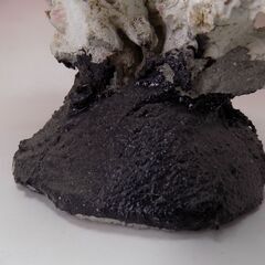 サンゴ　サンゴ礁　珊瑚礁　サンゴ置物　水槽サンゴ　高さ３４ｃｍ　巾２５ｃｍｘ１８ｃｍ　重さ3.5㎏　【非対面取引です】の画像